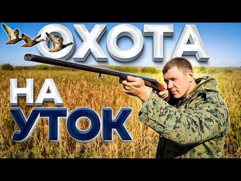 Видео: охота на утку осень 2021,ТАКОГО МЫ НЕ ОЖИДАЛИ!