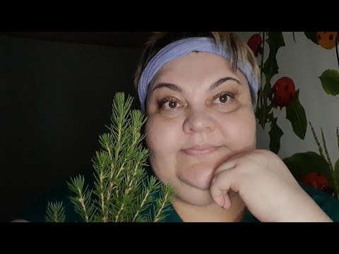 Видео: Асмр🎄/ И покупки🛍И поболтать 😜