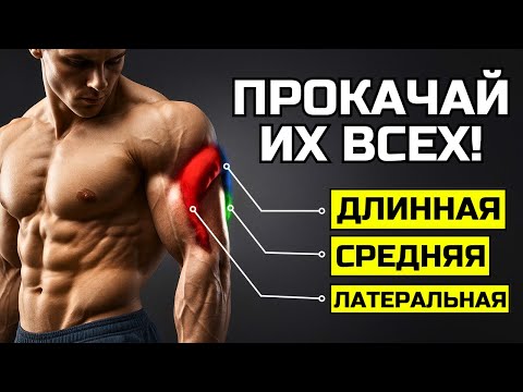 Видео: ВСЕГО 3 УПРАЖНЕНИЯ НА ТРИЦЕПС ДЛЯ МАССЫ ТОЛЬКО С ГАНТЕЛЯМИ