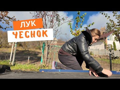 Видео: ВЛОГ: Укутываем чеснок 🧄