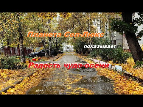 Видео: Радость чудо - осени