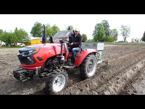 Видео: Высаживаю последний картофель.