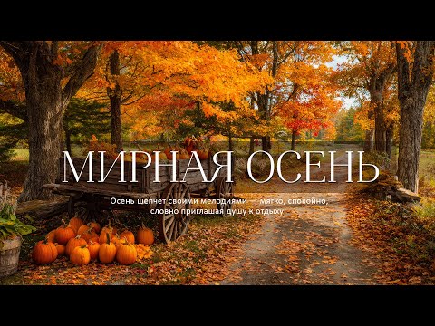 Видео: Расслабьтесь и наслаждайтесь 🍁 Осенними мелодиями для снятия стресса и исцеления