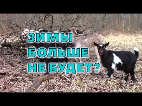 Видео: Весна идет. Со всеми вытекающими.