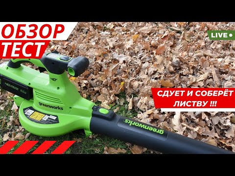 Видео: 🔥Аккумуляторная воздуходувка–пылесос Greenworks GD40BVII обзор и тест🍂