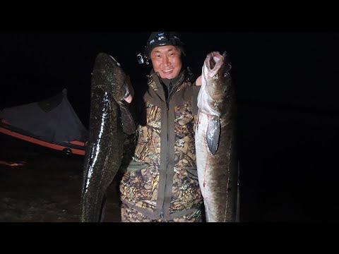 Видео: ПРОВЕРКА ПЕРВОГО ЛЬДА 2021 ЯКУТИЯ. УЛОВ ЕСТЬ.