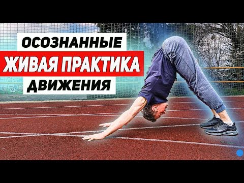 Видео: Укрепляющий комплекс //Динамическая растяжка