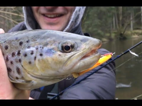 Видео: Ручьевая форель. Brown Trout Fishing. Калининград. Koenigsberg