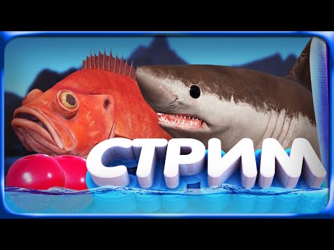 Видео: РР4 СТРИМ • ТОП Фарм серебра на Норвежском море продолжается?