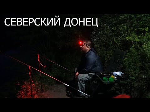 Видео: Ночная рыбалка на леща! / Северский Донец