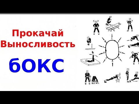 Видео: Как не уставать в бою.Научный подход