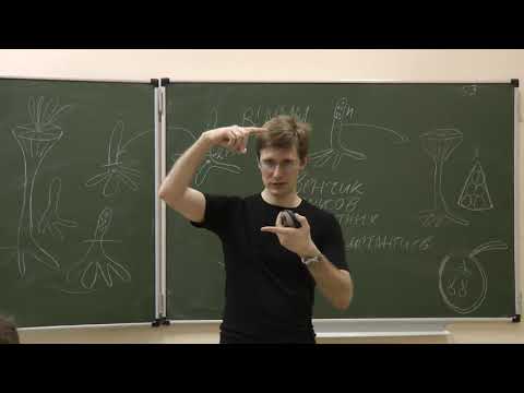 Видео: Альгология и микология. Отдел Chlorophyta. Гмошинский В. И. edit
