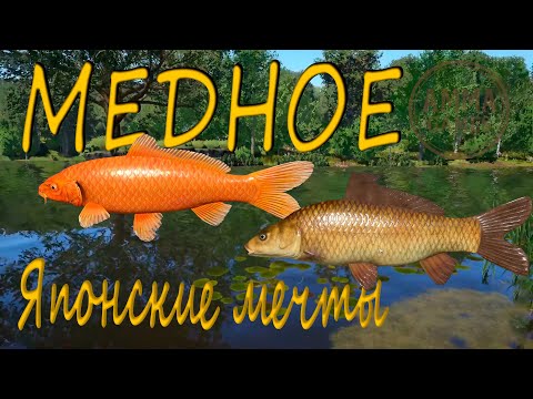 Видео: Русская рыбалка 4 - Marlina на "Медном"