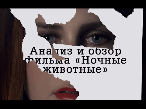 Видео: Анализ и обзор фильма "Ночные животные" (Под покровом ночи)