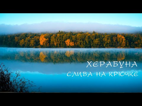 Видео: ХЕРАБУНА. «СЛИВУ» на крючок.. и рыбалке КОНЕЦ!?