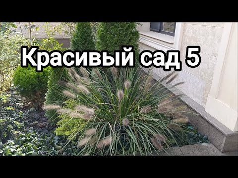 Видео: Ландшафтный дизайн: Красивые сады