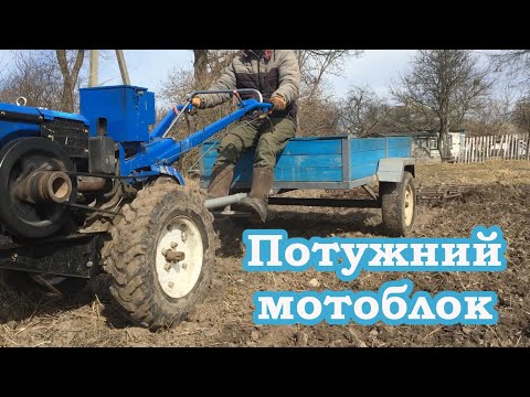 Видео: Купив мотоблок, тепер трактористи без роботи.Боронування Forte 10лс.