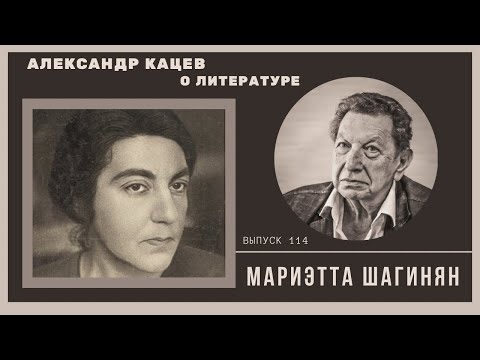 Видео: Александр Кацев о ШАГИНЯН