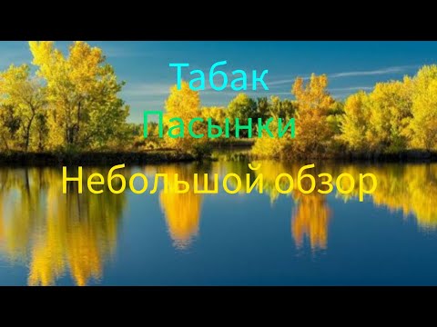 Видео: 7 жовтня 2025 р.