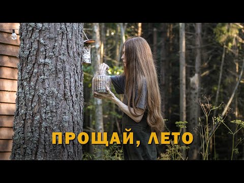 Видео: Учусь медленной жизни в лесной хижине | Кофе, птицы, грибы
