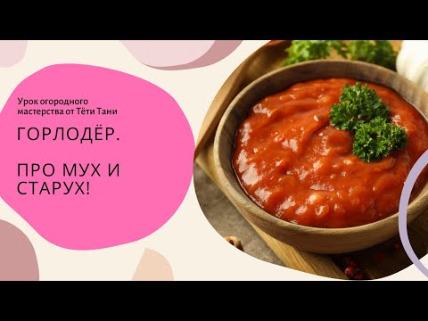 Видео: ГОРЛОДЁР. Про мух и про старух...