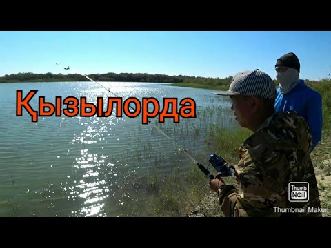 Видео: Рыбалка в Қызылорде даже поймали кранокнижную рыбу