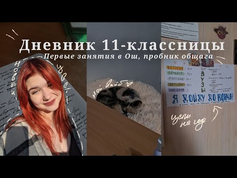 Видео: Дневник 11-классницы | Больничный влог, начало учёбы в онлайн школе и результаты пробников