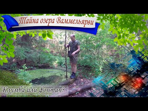 Видео: За находками по Карельскому перешейку. Тайна хутора на озере Ваммельярви: клумба или фонтан?