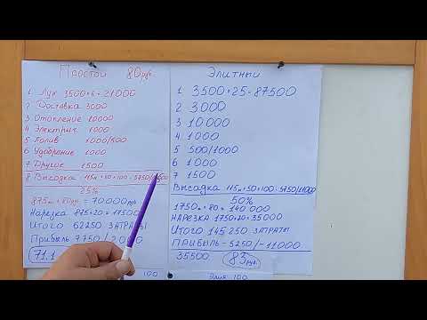 Видео: (ЭТО ВАЖНО)Сколько стоит вырастить 1 кг зеленого лука. Себестоимость.