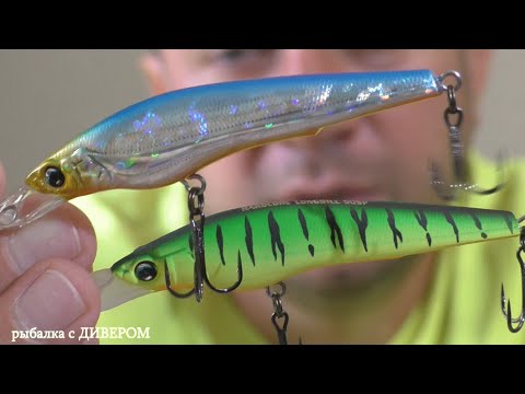 Видео: ОТЧЁТ ПО ВОБЛЕРАМ - уловистые приманки и те что отработали в ИЮНЕ и ИЮЛЕ 2020. РЫБАЛКА с ДИВЕРОМ