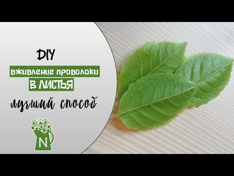 Видео: БЕДА С ЛИСТЬЯМИ? ДЕЛАЙ КАК Я! Проволоки не видно! Холодный фарфор. Полимерная глина. ใบดินโพลิเมอร์