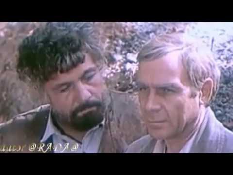 Видео: Михай Волонтир. Нас не нужно жалеть.
