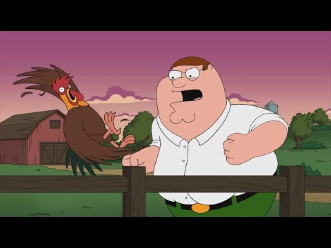 Видео: 🍅 Гриффины лучшие и смешные моменты в HD  #113 🍅