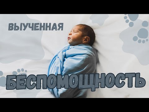 Видео: 💔 Почему ты зависишь от партнёра? Что такое ВЫУЧЕННАЯ БЕСПОМОЩНОСТЬ? Как снова начать верить в себя?