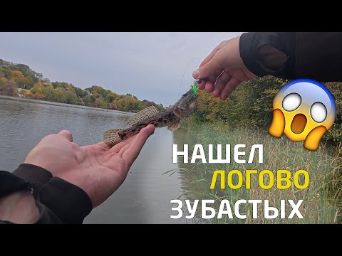 Видео: НАШЕЛ ЛОГОВО ЗУБАСТЫХ! РАЗРЫВАЮТ УЛЬТРАЛАЙТ! ОСЕННЯЯ РЫБАЛКА НА СПИННИНГ