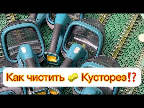 Видео: КАК ЧИСТИТЬ 🧽 КУСТОРЕЗ⁉️ Я все очень просто делаю, губка и Фери.