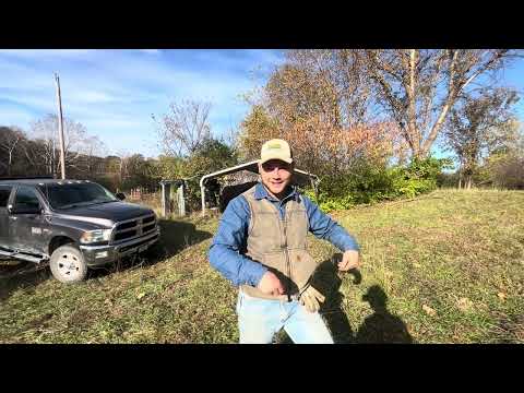 Видео: У Грега есть лицо из прошлого, которое пришло в гости на ферму Green Pastures!