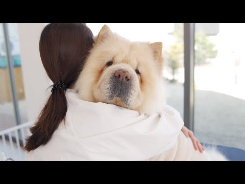 Видео: Позвольте мне представить моего маленького друга.