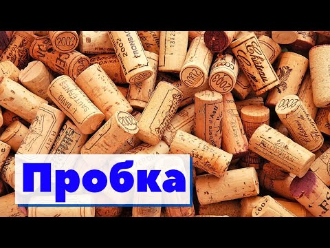 Видео: Пробка | Как это сделано