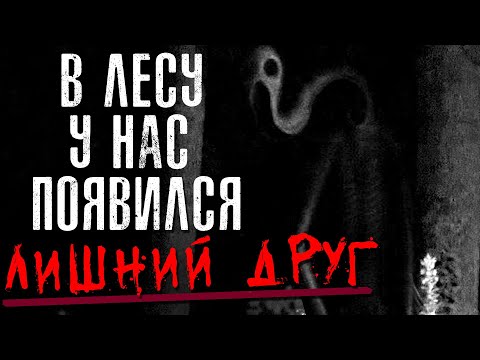 Видео: НЕРЕАЛЬНО ЖУТКИЕ ИСТОРИИ С РЕДДИТА #30 (страшные истории на ночь)