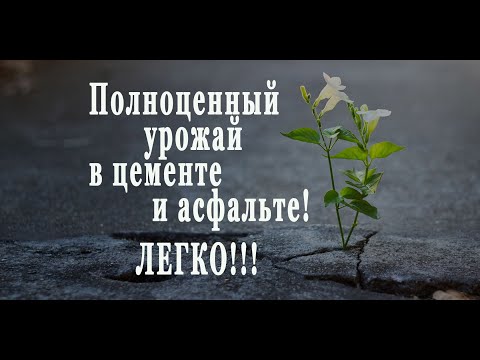 Видео: ПАН122 Как БЫСТРО и легко сделать почву плодородной вырастить здоровый урожай жидкий биогумус