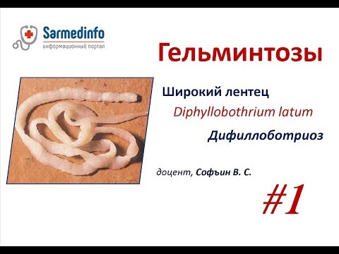 Видео: Гельминтозы #1 Широкий лентец   Дифиллоботриоз