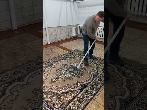 Видео: Сгон для воды с ковра и чесалка два в одном