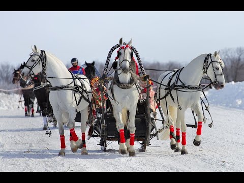 Видео: РУССКАЯ ТРОЙКА