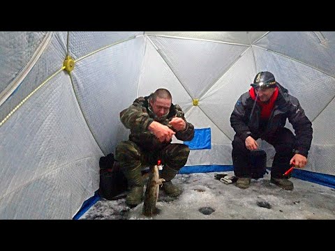 Видео: ТАКИХ РЫБИН НЕ ДЕРЖУТ ПОВОДКИ!!! ИХ НЕРЕАЛЬНО ЗАВЕСТИ В ЛУНКУ!!!