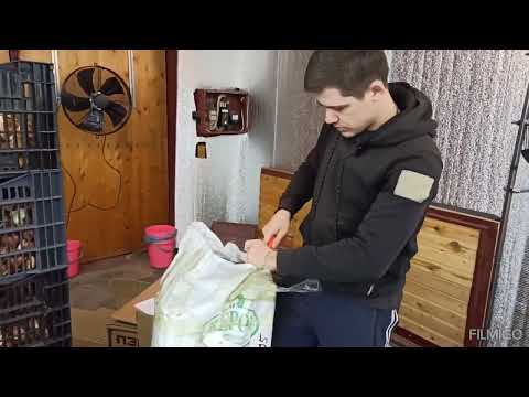 Видео: Привезли упаковку для тюльпанов!) Готовимся к продажам