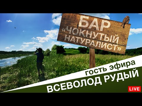 Видео: Съёмка птиц: биологические знания в помощь фотографу дикой природы. Бёрдвочинг