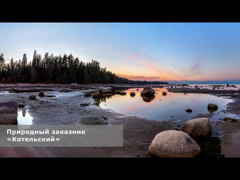 Видео: 05. От щита «Река Пейпия» до щита «Берег Финского залива»