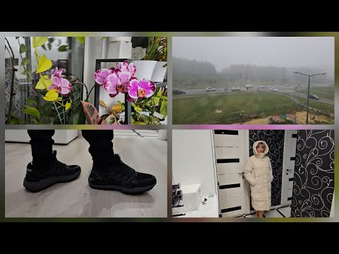 Видео: VLOG 19.09.2025 г День со мной/ Туман/ Орхидея/ Заказ с Валберис с примеркой