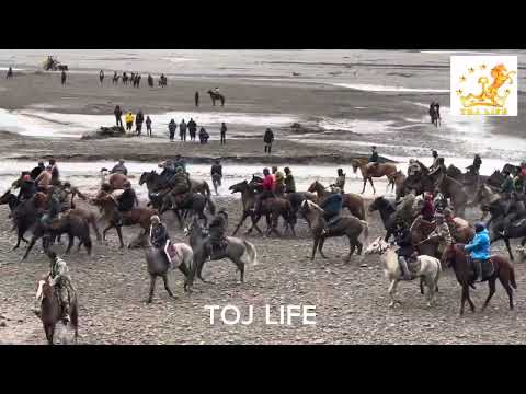 Видео: БУЗКАШИ Н.РАШТ    ДЕХАИ ЧАФР (ОХИР) #tajikistan #kazakhstan #russia #turkey #tojlife #turkmenistan